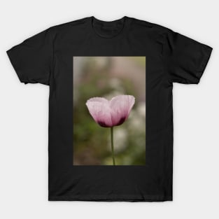 Pink Poppy 2 T-Shirt